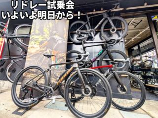 Bianchi Rome-2 （ビアンキ ローマ2）2011年モデルが入荷しました
